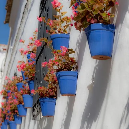 Seis Lunas Pa, Old Town *